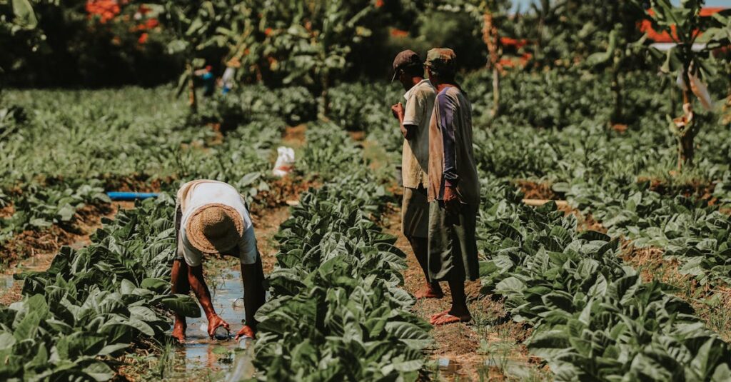 découvrez comment les partenariats locaux peuvent renforcer les communautés, stimuler l'économie et favoriser l'innovation. explorez les avantages d'une collaboration étroite entre entreprises, associations et collectivités pour un impact positif durable.